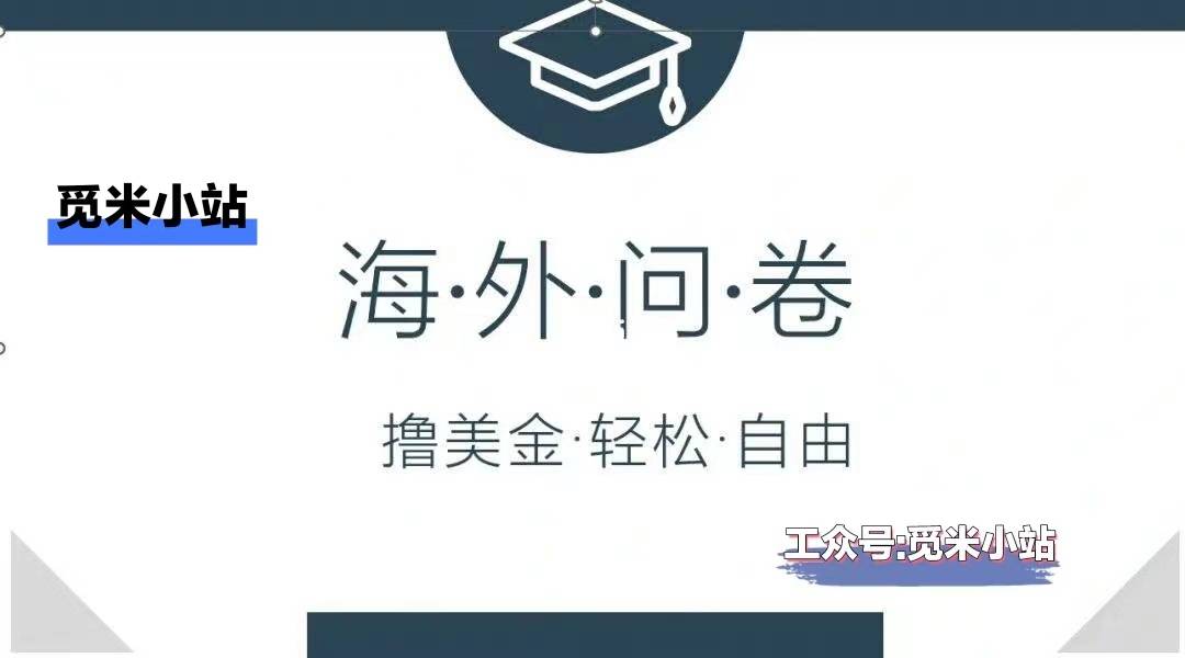 问卷调查类赚钱_问卷调查公司怎么赚钱_问卷调查赚钱app大全