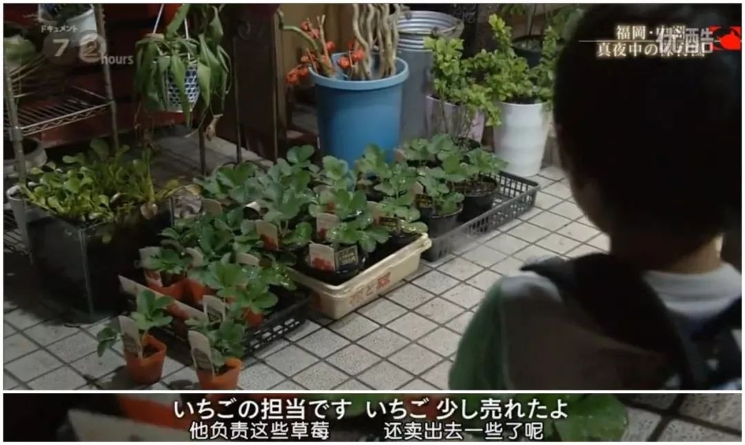幼儿园点赞怎么赚钱_幼儿园点赞怎么赚钱_幼儿园点赞怎么赚钱
