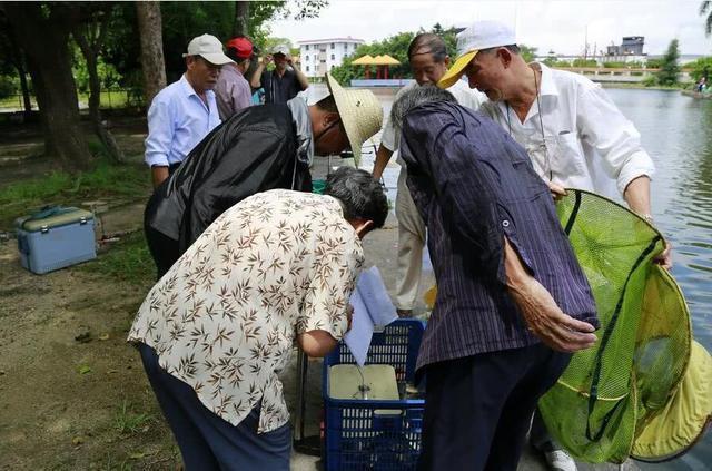 经营黑坑经验分享_黑坑怎么经营才赚钱_经营黑坑需要多少钱