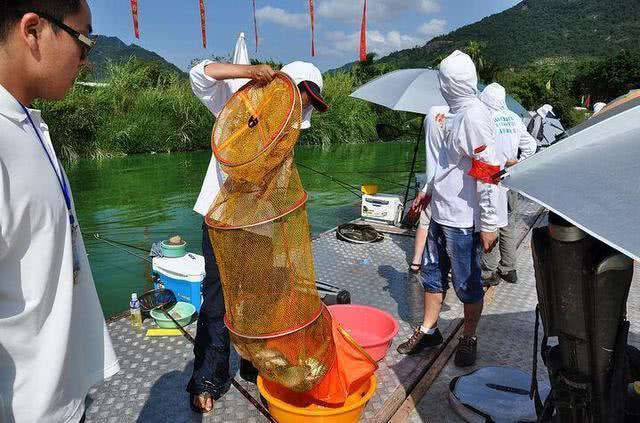 经营黑坑经验分享_黑坑怎么经营才赚钱_经营黑坑需要多少钱