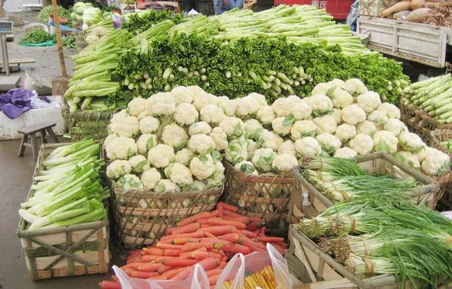 蔬菜生意怎么卖才赚钱_蔬菜生意赚钱吗_蔬菜生意赚钱卖什么好