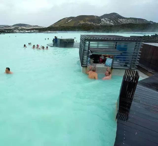 皇家水族馆怎么赚钱_皇家海洋馆在哪里_皇家海洋馆游玩攻略