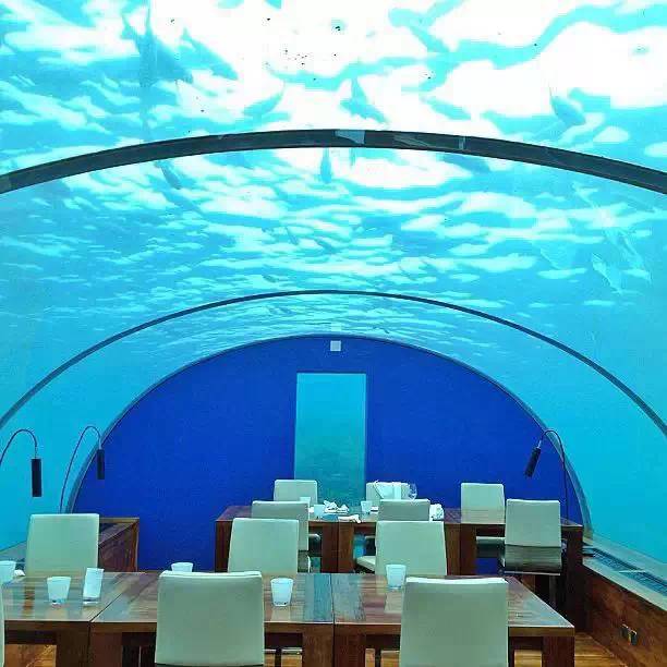 皇家海洋馆在哪里_皇家海洋馆游玩攻略_皇家水族馆怎么赚钱