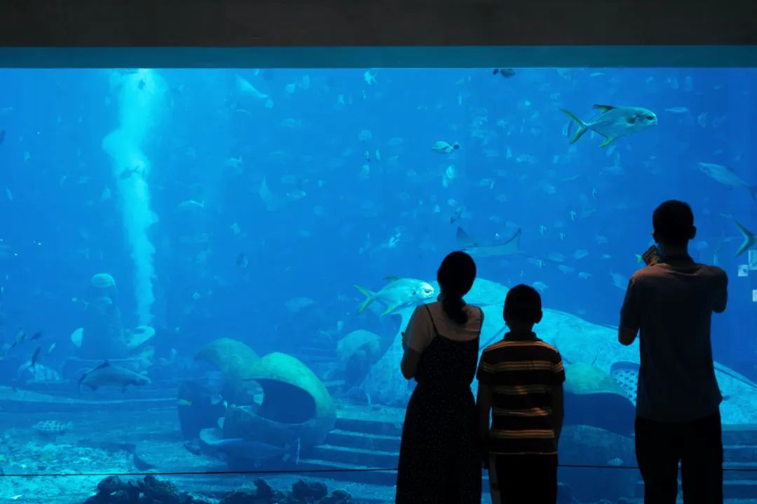 皇家海洋馆沙滩水世界简介_皇家水族馆怎么赚钱_皇家海洋馆游玩攻略