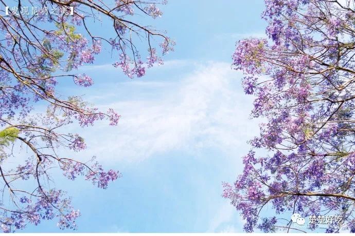 梦幻小镇怎么赚钱快-南非｜想象与现实之间（三）：花园大道的生蚝小镇-优创圈