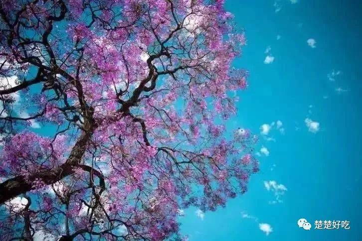 梦幻小镇赚钱攻略_梦幻小镇怎么赚钱快_梦幻小镇攻略最佳经营技巧全解