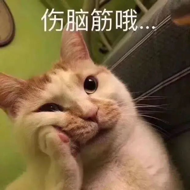 非常途平台怎么赚钱的-一年工作5天,收入25万,靠信息差赚钱真轻松!-优创圈