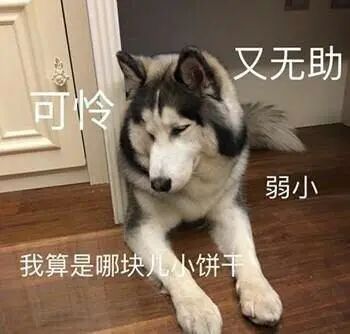 途途app_途游赚钱_非常途平台怎么赚钱的
