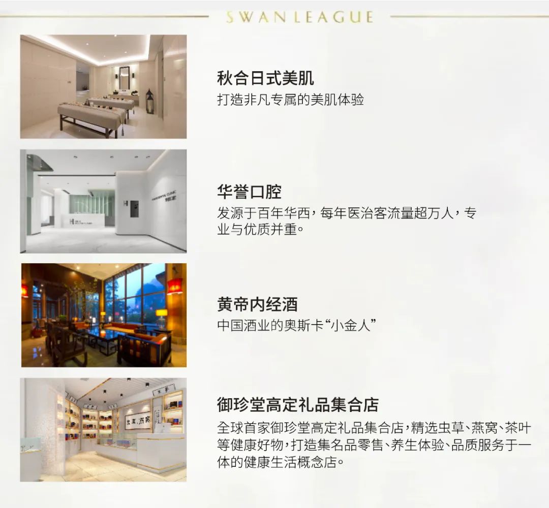 天鹅湖软件怎么赚钱_天鹅湖赚钱软件安全吗_天鹅湖赚钱软件下载