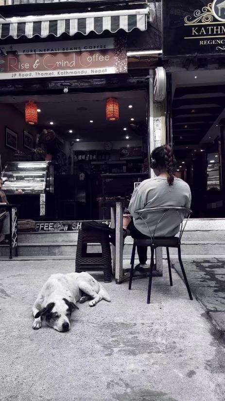 想买个面包车能干什么_买个面包车怎么赚钱_买个面包车干啥挣钱