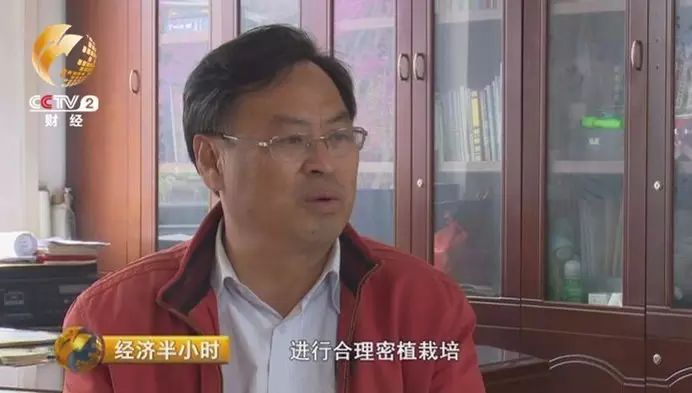 微商卖片怎么赚钱_挣钱微商_赚钱的微商项目有哪些