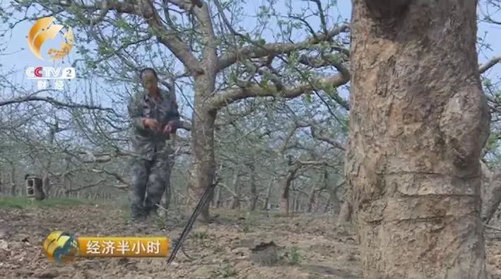 赚钱的微商项目有哪些_微商卖片怎么赚钱_挣钱微商