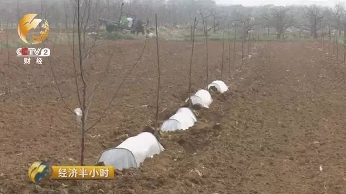 微商卖片怎么赚钱_赚钱的微商项目有哪些_挣钱微商
