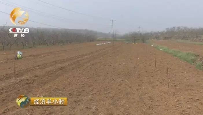 赚钱的微商项目有哪些_微商卖片怎么赚钱_挣钱微商