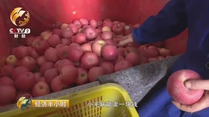 挣钱微商_赚钱的微商项目有哪些_微商卖片怎么赚钱