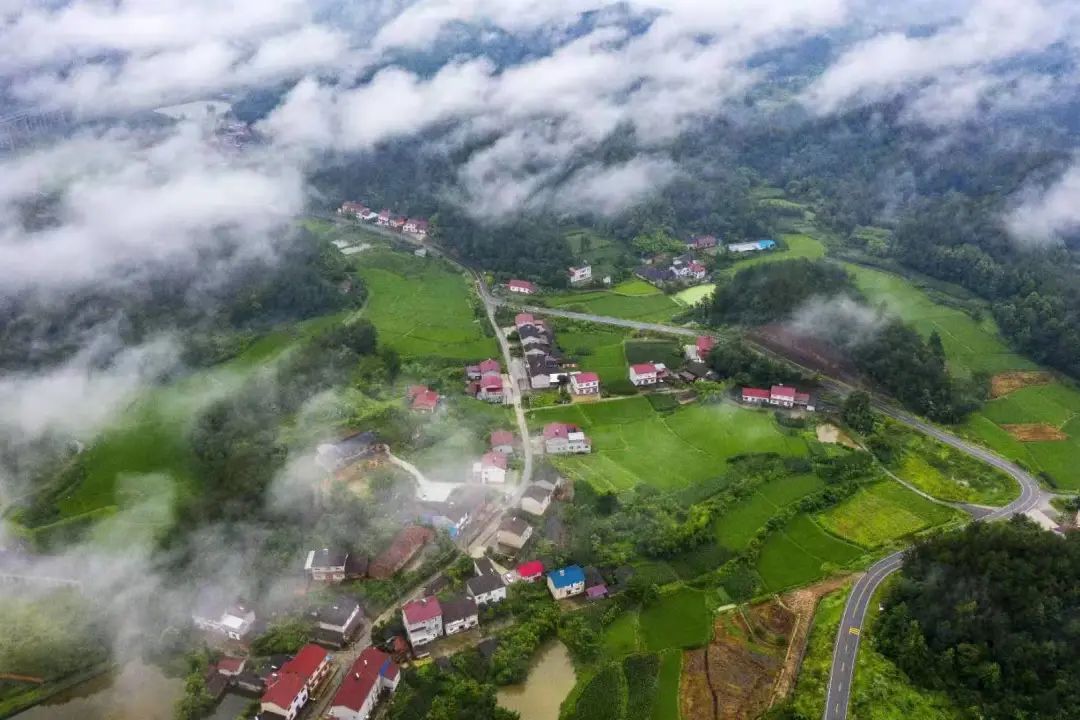 下载深山果农_深山果农是怎么赚钱的_深山果农app官方下载