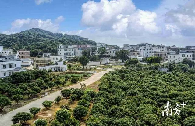 深山果农是合法的吗_深山果农是什么平台_深山果农是怎么赚钱的