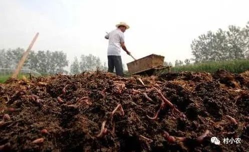图片[3]-怎么利用空房子赚钱-穷人如何赚到100万？农村这10个最赚钱创业项目，没本钱你也能白手起家！-优创圈
