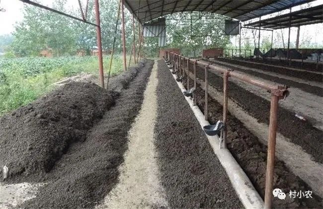图片[4]-怎么利用空房子赚钱-穷人如何赚到100万？农村这10个最赚钱创业项目，没本钱你也能白手起家！-优创圈