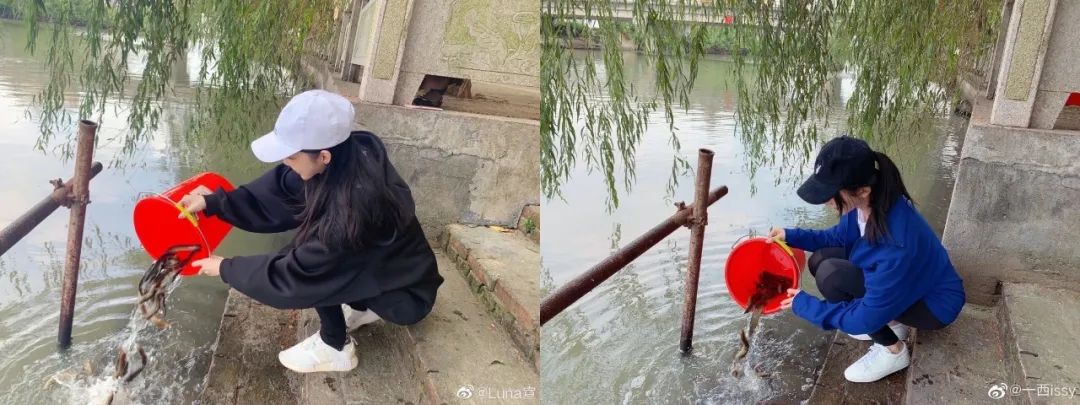 拼团的群_拼团群里的东西是真的吗_拼团群是怎么赚钱