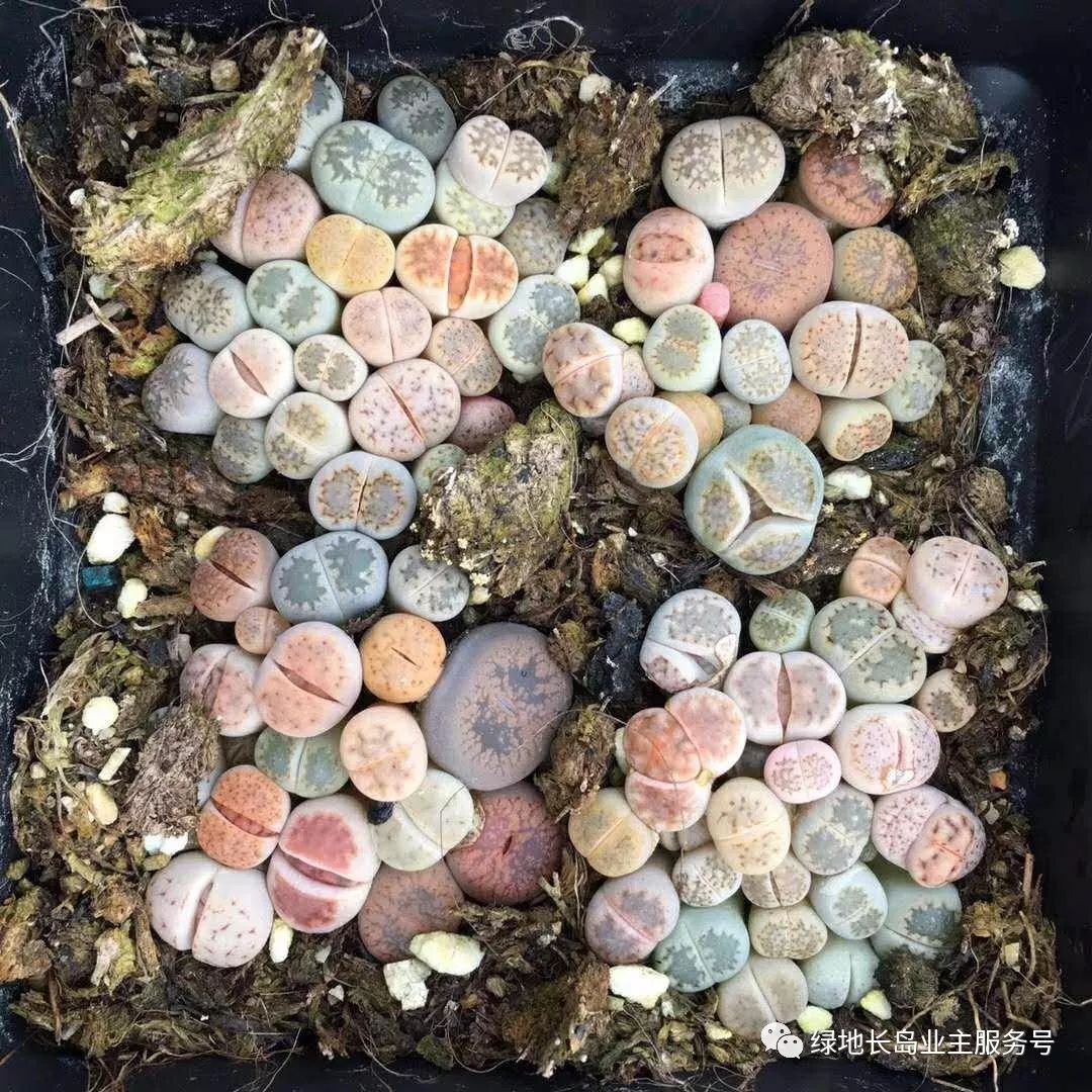 怎样利用空房子致富_怎么利用房子赚钱_怎么利用空房子赚钱