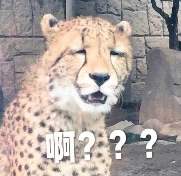 原始传奇赚钱怎么下载_原始传奇h5怎么赚钱_原始传奇赚钱技巧
