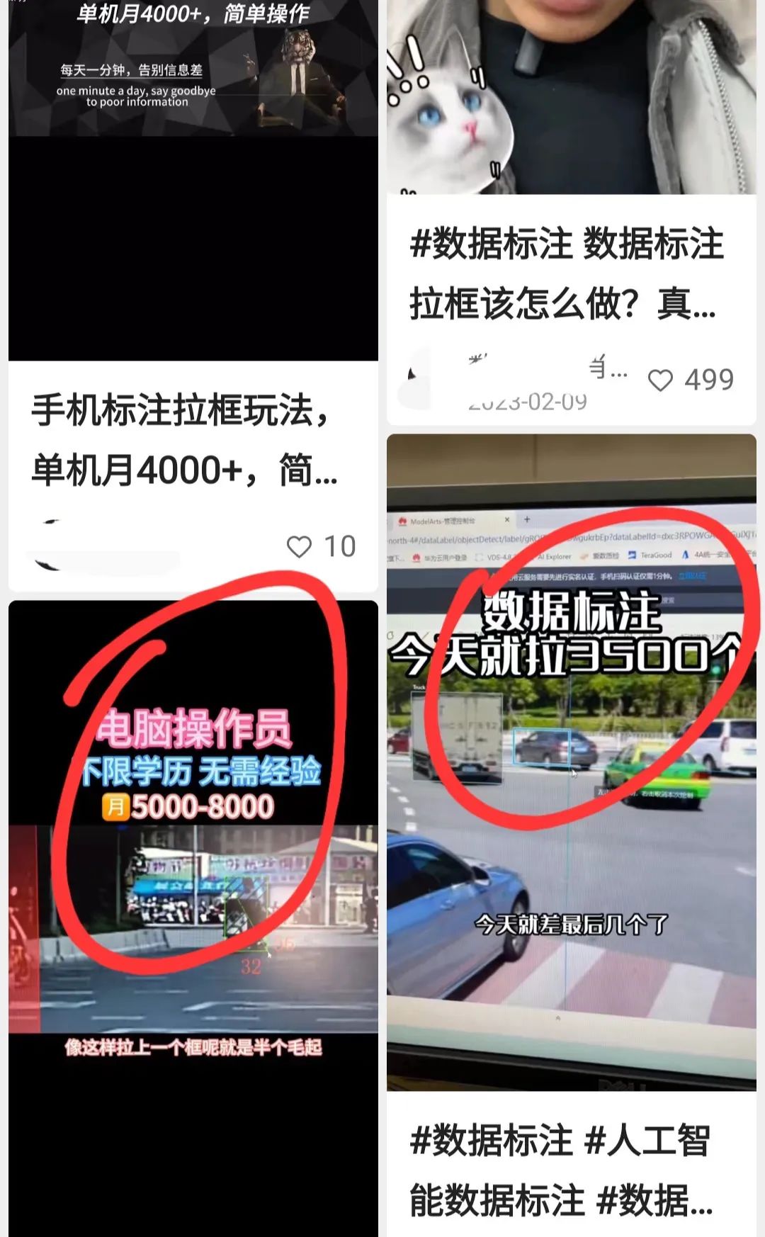 龙猫众包怎么快速赚钱_龙猫众包提现_龙猫众包一天能赚多少