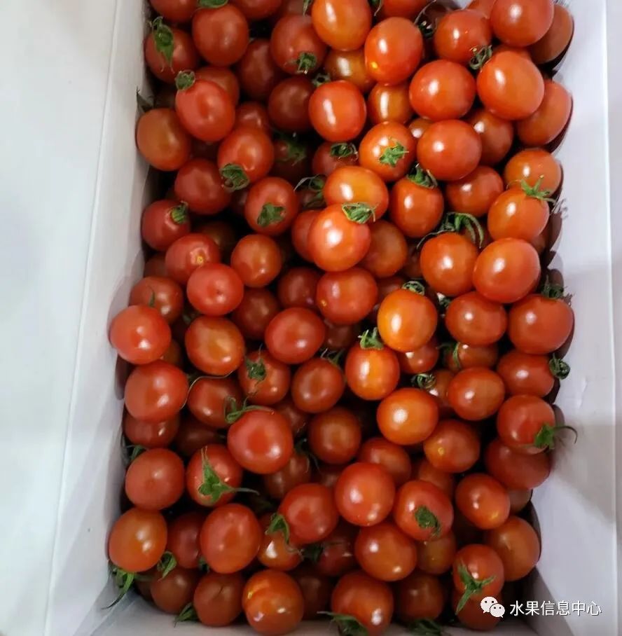 水果生意赚钱不_卖水果怎么样才能赚钱_2021卖水果赚钱吗