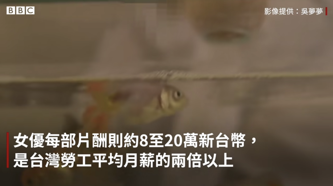 演员挣钱渠道_演员赚的钱叫什么_演员工作室怎么赚钱