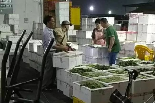 菜生意怎么做才赚钱_菜生意怎么做赚钱_生意菜赚钱做什么