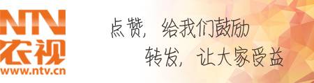 什么是合作社怎么赚钱_合作社盈利吗_合作社赚钱吗