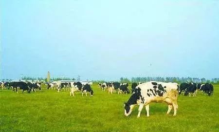 养殖业什么最赚钱农村_养殖业赚钱农村有补贴吗_2020农村养殖赚钱项目