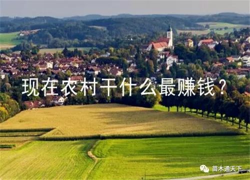 赚钱累吗_现在干什么最赚钱_赚钱干啥