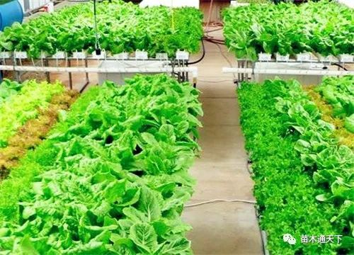 现在干什么最赚钱_赚钱干啥_赚钱累吗