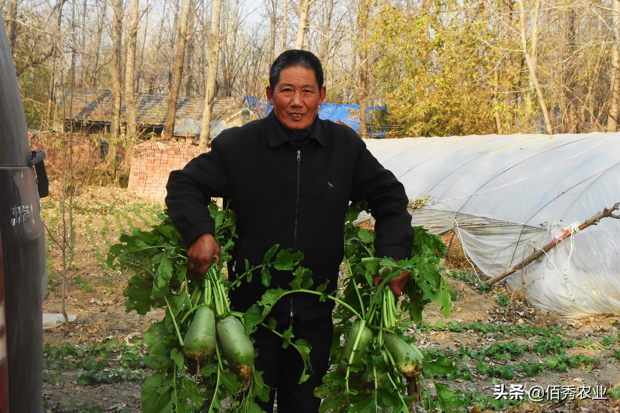 种植什么最赚钱_种植赚钱游戏_种植赚钱可以提现的游戏