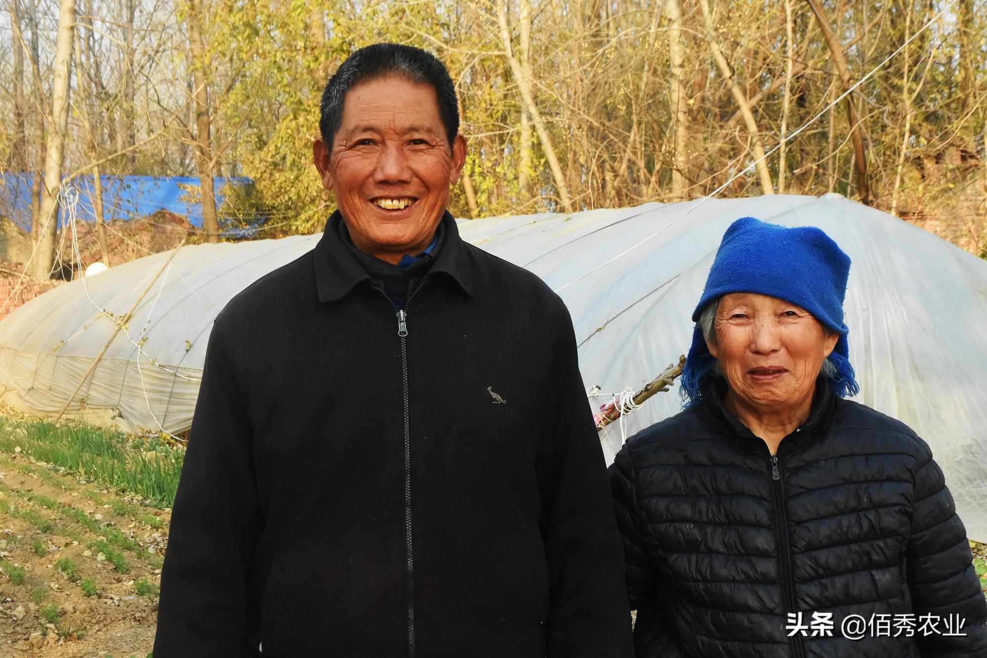 种植什么最赚钱_种植赚钱可以提现的游戏_种植赚钱游戏