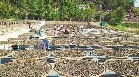 图片[5]-什么赚钱农村-在农村干点啥能挣钱（农村没人干的冷门赚钱行业）-优创圈