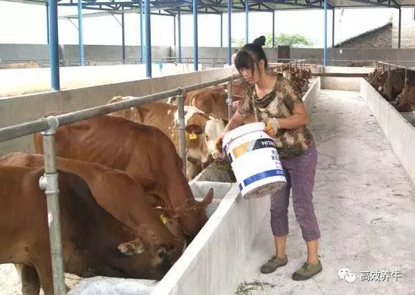 养什么最赚钱_养赚钱游戏_养赚钱的鱼图片
