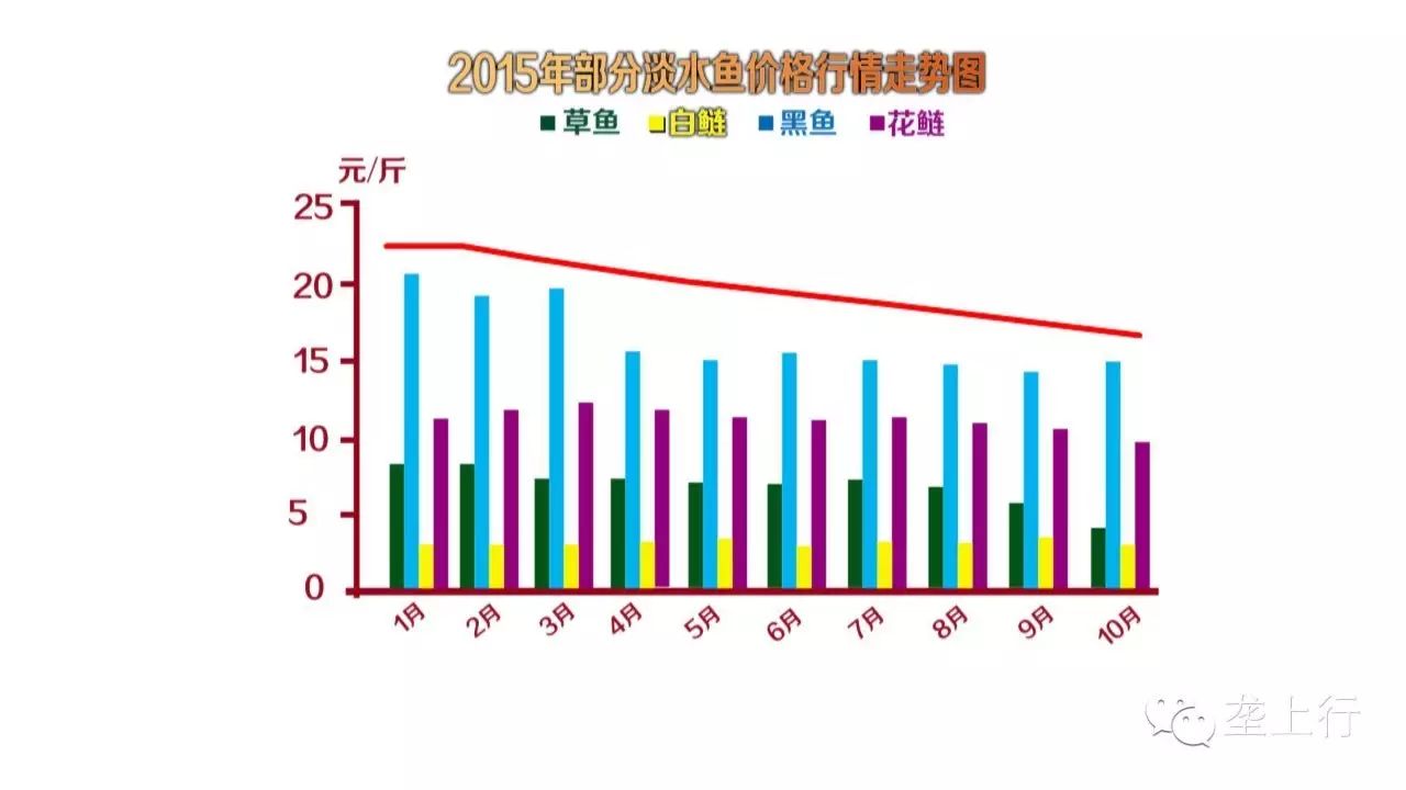 养鱼赚大钱_养什么鱼赚钱_养啥鱼赚钱