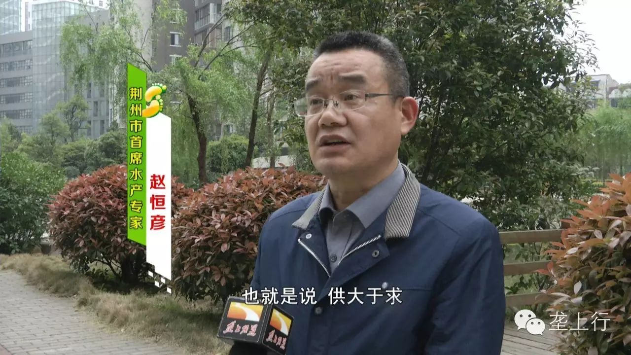 养鱼赚大钱_养啥鱼赚钱_养什么鱼赚钱