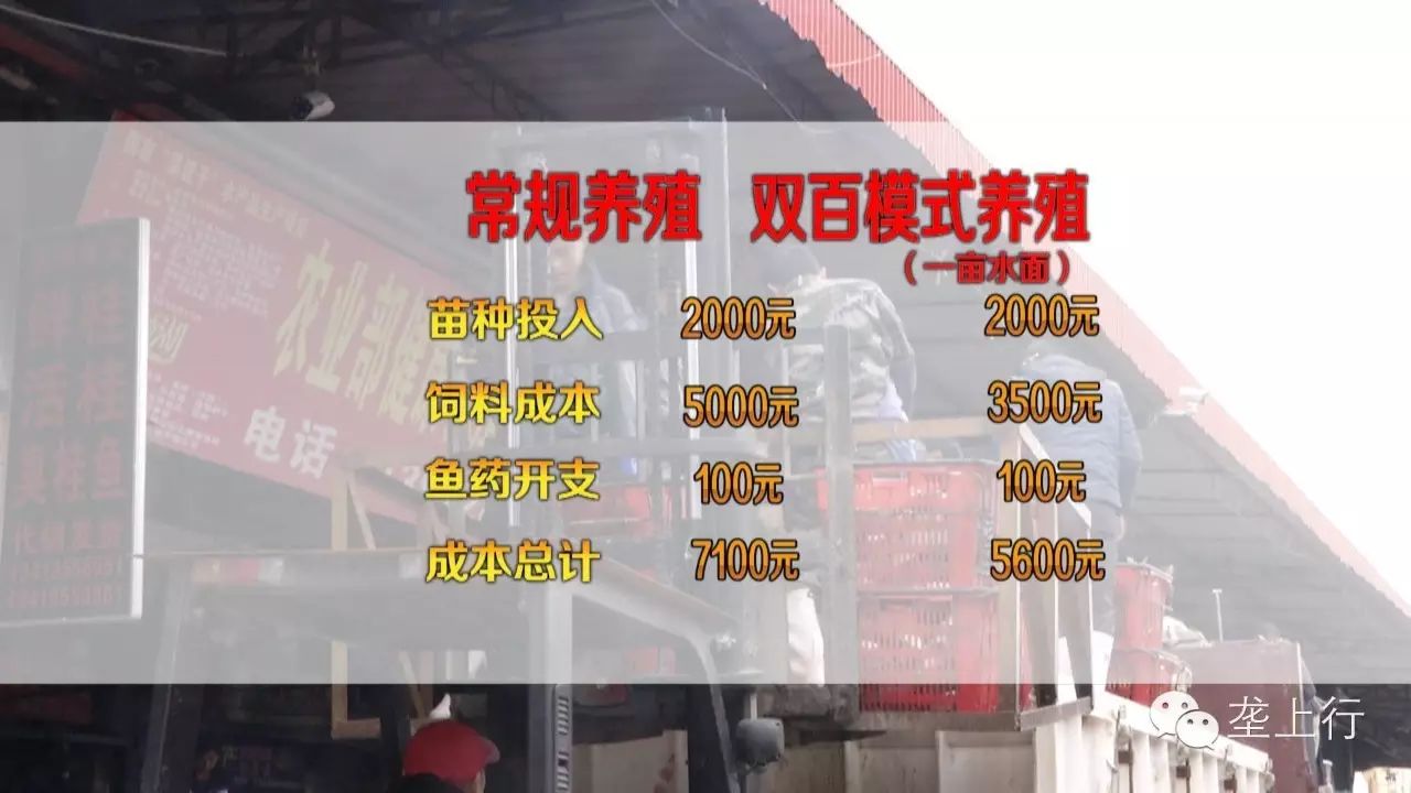养鱼赚大钱_养啥鱼赚钱_养什么鱼赚钱