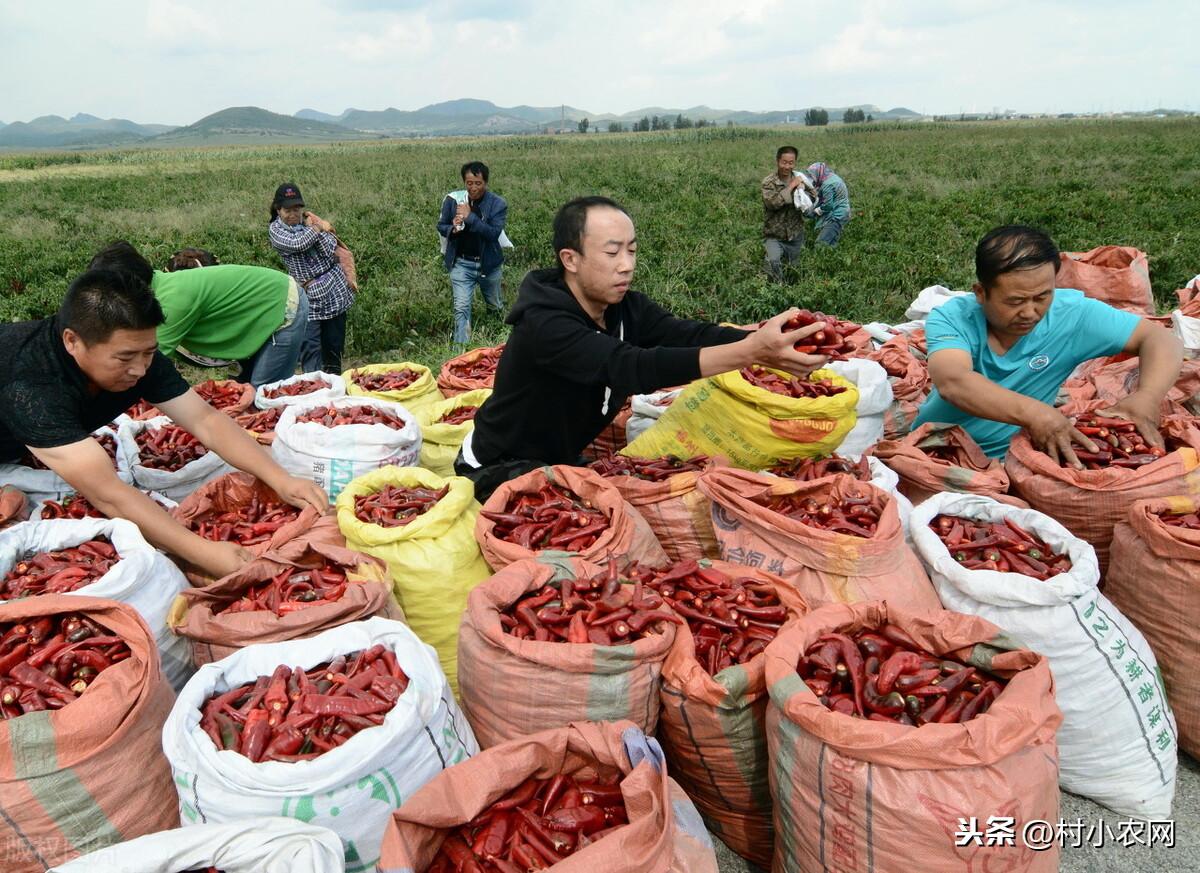 干什么好赚钱_赚钱干什么好_赚钱干好一件事