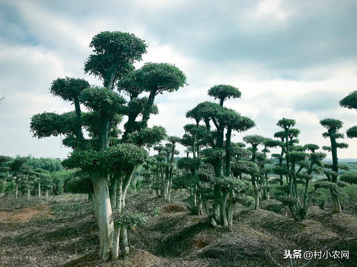 干什么好赚钱_赚钱干什么好_赚钱干好一件事