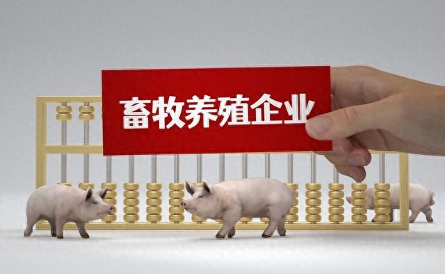 养什么赚钱快-农村一直都存在的赚钱养殖行业，大妈才养300只，年收入6万元-优创圈