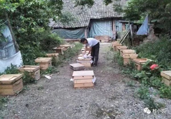 有没有赚钱的养殖游戏_赚钱养什么_养什么能赚钱