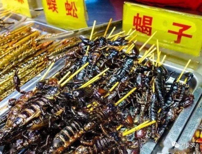 有没有赚钱的养殖游戏_赚钱养什么_养什么能赚钱