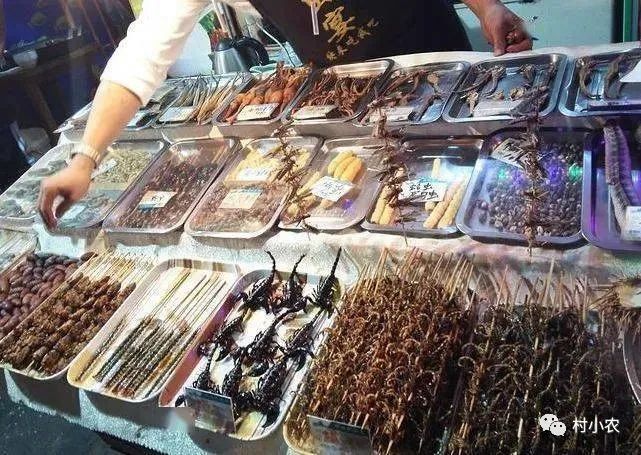 养什么能赚钱_赚钱养什么_有没有赚钱的养殖游戏
