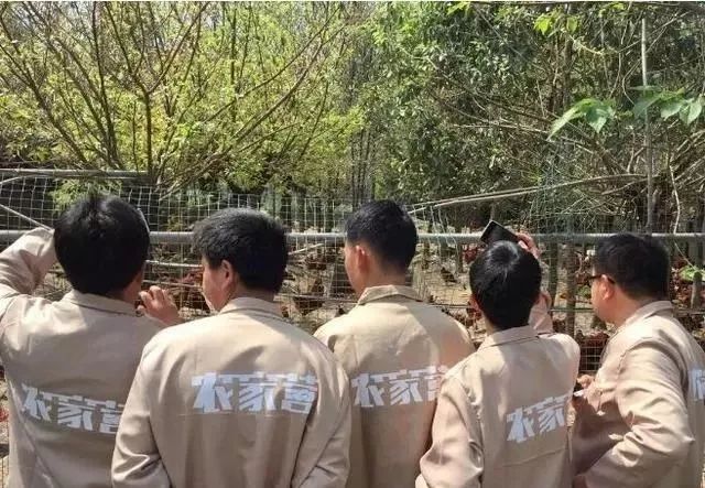 有没有赚钱的养殖游戏_可以养殖赚钱的小宠物_养什么能赚钱