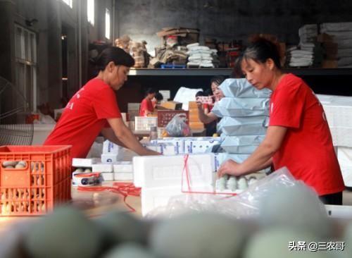 图片[17]-在农村做什么赚钱-适合在农村做的25个项目，发家致富不是难事-优创圈