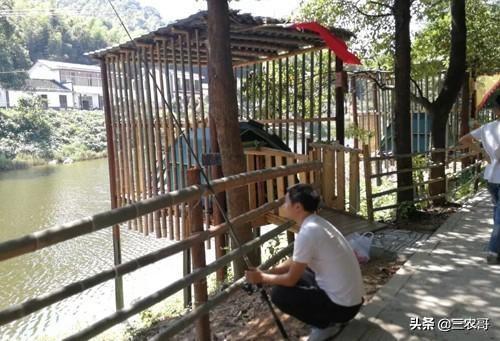 图片[19]-在农村做什么赚钱-适合在农村做的25个项目，发家致富不是难事-优创圈